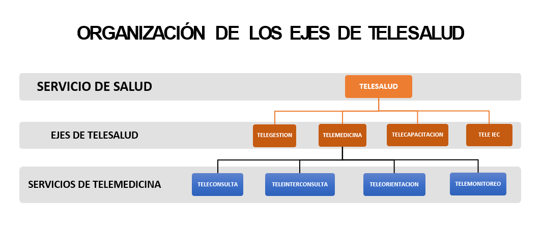 Imagen de la Organizacion de los ejes de Telesalud